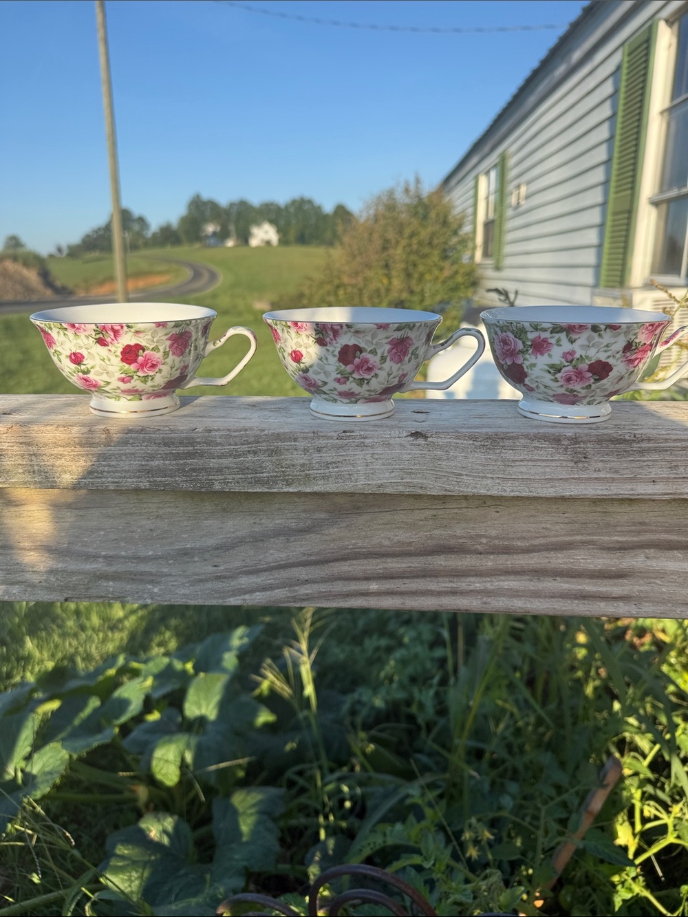 Vintage Gracie China set pink floral teacup set of 3
